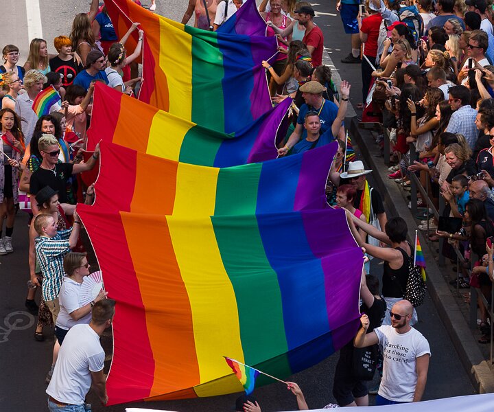 _DSC0031 The rainbow flag.