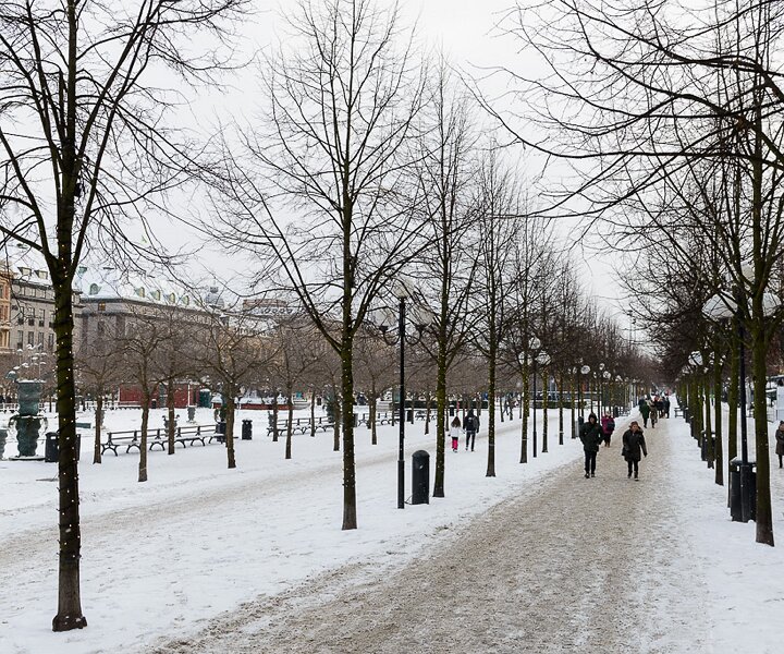 _DSC0002 Kungsträdgården in January.