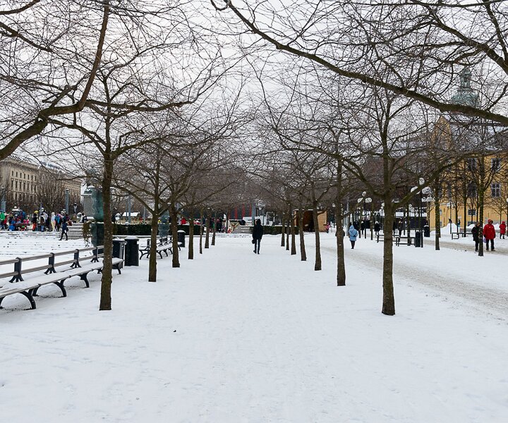 _DSC0012 Walking in Kungsträdgården in January.