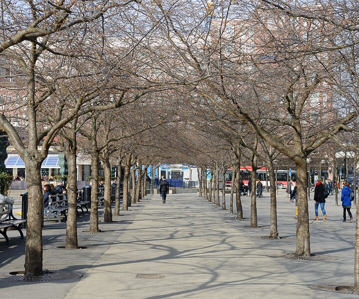 _DSC0004 Kungsträdgården in early spring.