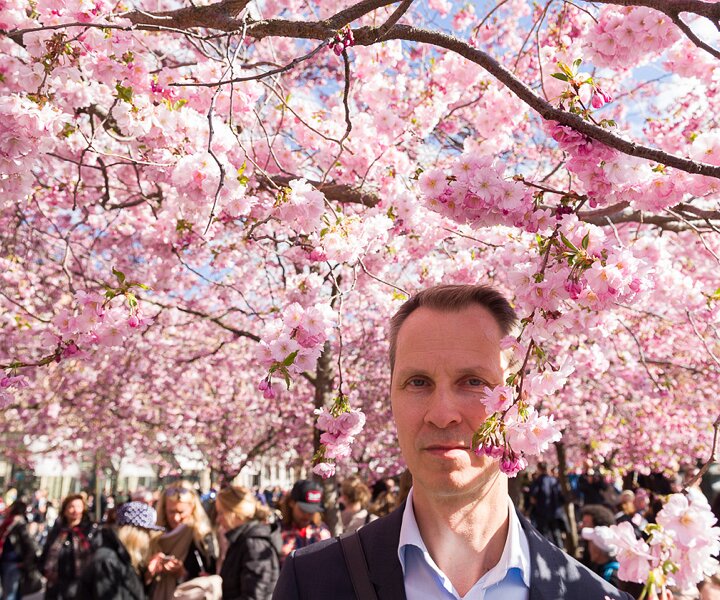 _DSC0018 Arto in Kungsträdgården and the cherry blossoms.