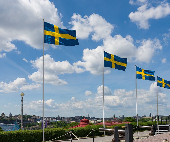 _DSC9087 Swedish flags at Skansen on Sweden's national day.