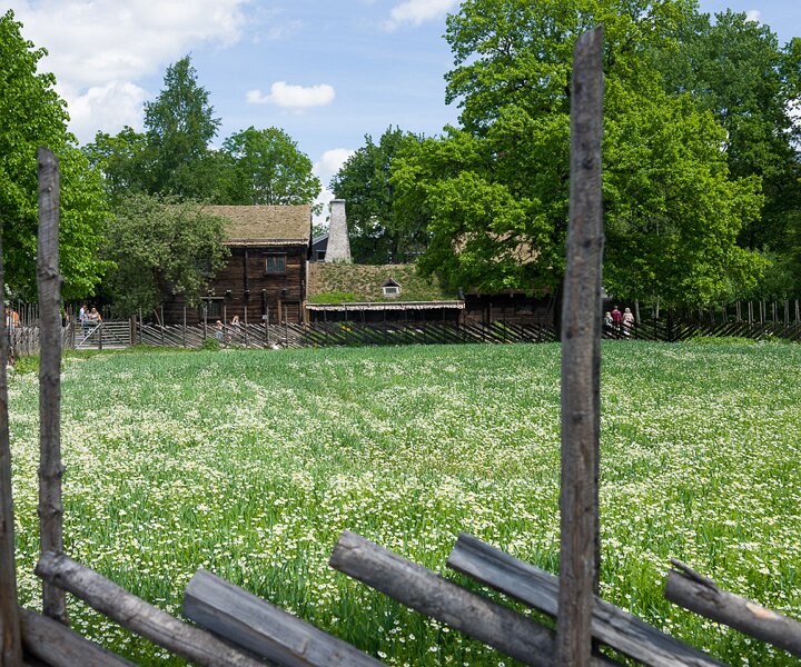 _DSC9088 At Skansen on Sweden's national day.