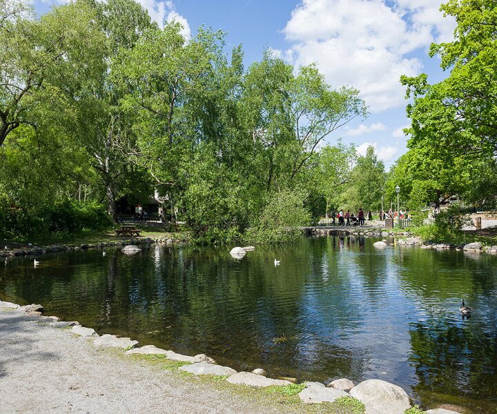 _DSC9093 At Skansen on Sweden's national day.