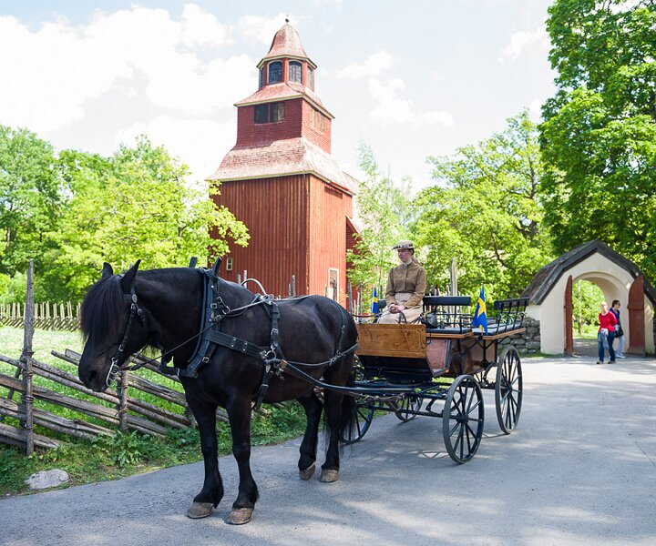 _DSC9099 At Skansen on Sweden's national day.