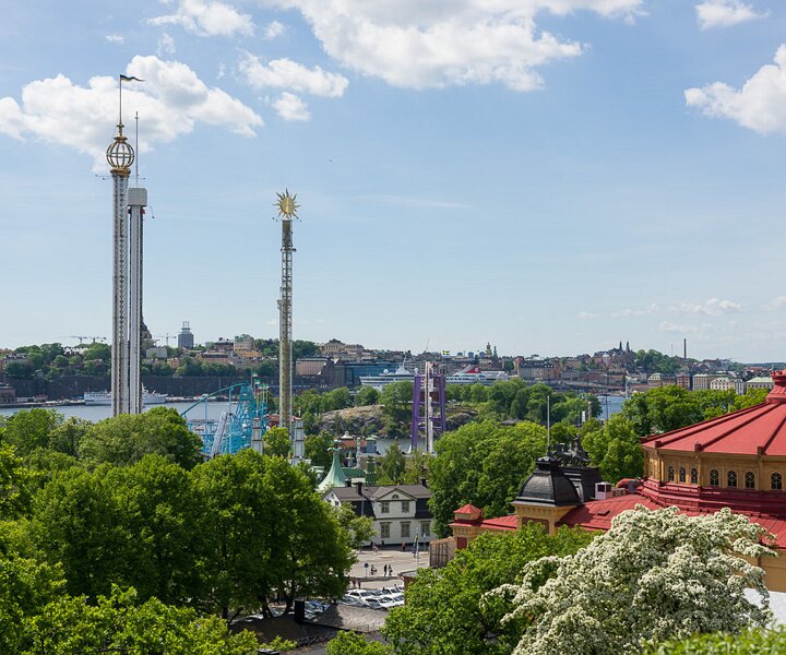 _DSC9106 View from Skansen on Sweden's national day.