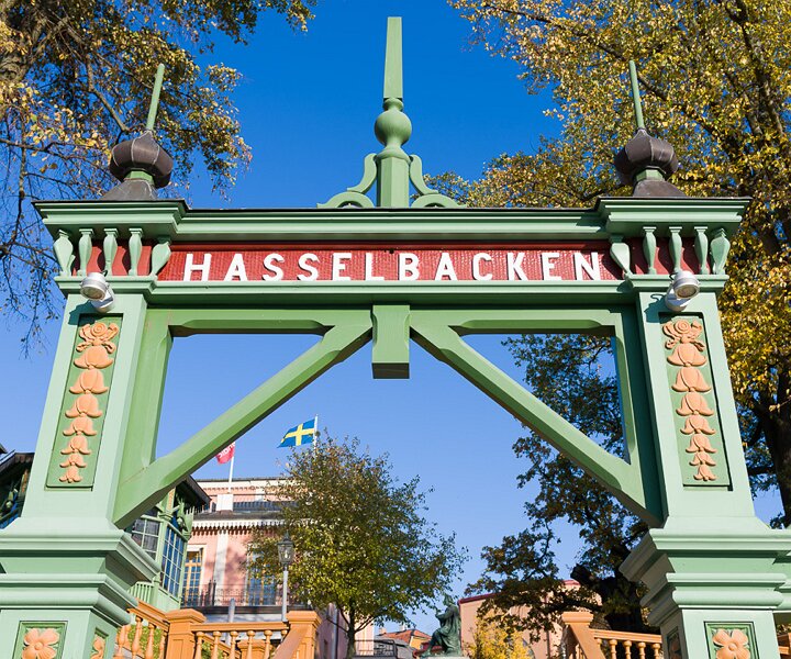 _DSC3137 At Hasselbacken.
