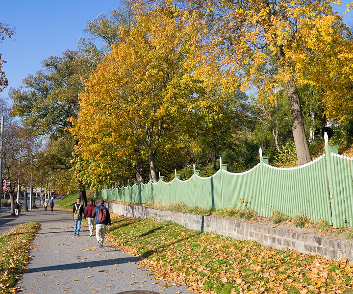 _DSC3141 Walk at Djurgården an October afternoon.