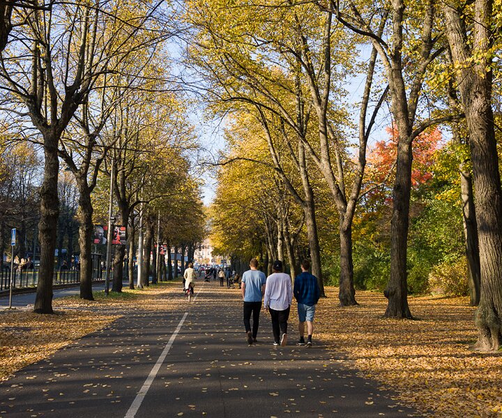 _DSC3143 Walk at Djurgården an October afternoon.