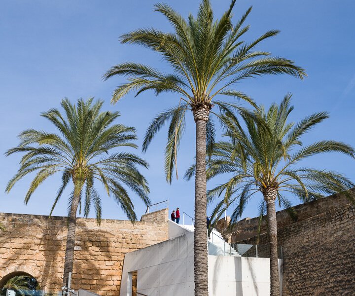 _DSC4259 At the Modern Art Museum in Palma (Es Baluard).