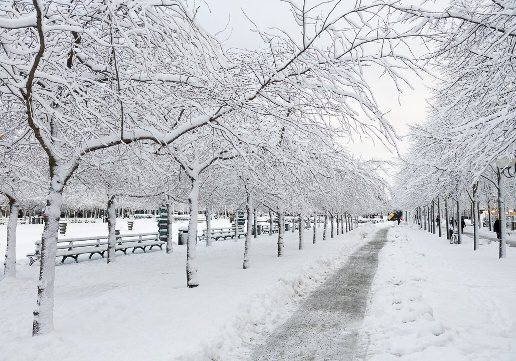 Stockholm in February