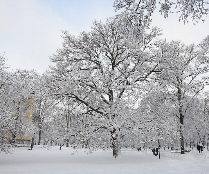 _DSC6127 Humlegården in February.