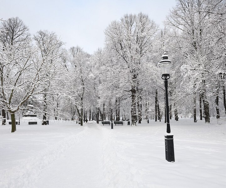 _DSC6134 Humlegården in February.