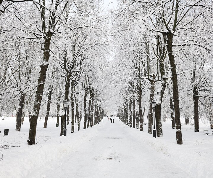 _DSC6150 Humlegården in February.