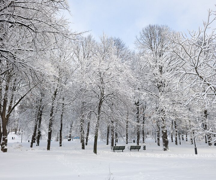 _DSC6165 Humlegården in February.