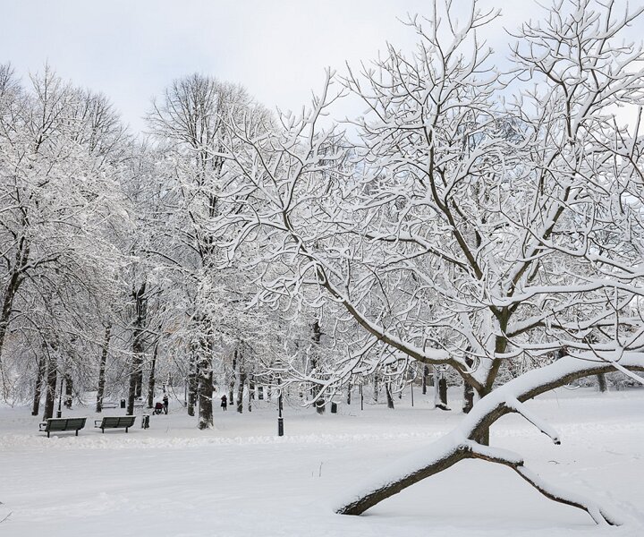 _DSC6170 Humlegården in February.
