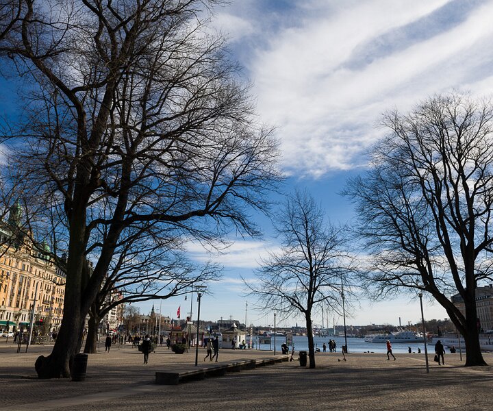_DSC7015 Early spring in Stockholm.