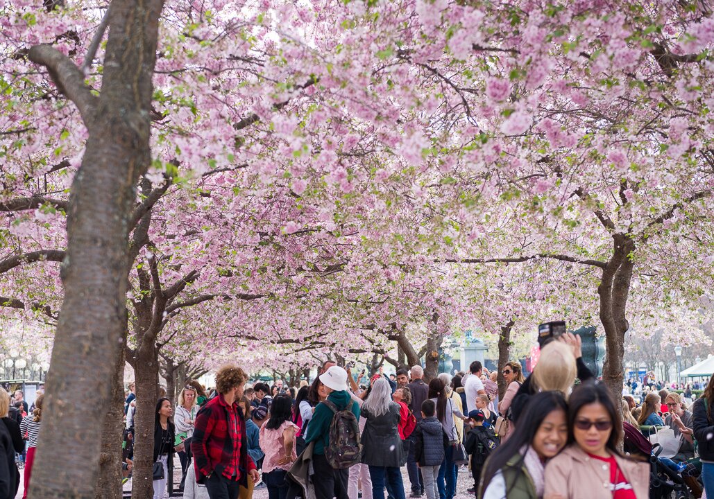 Stockholm in April