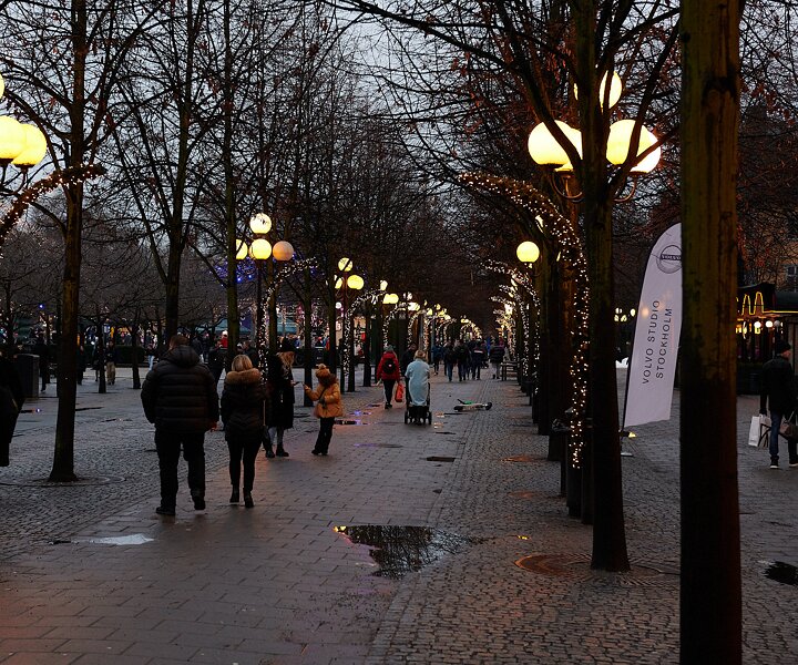 _DSC1669 At Kungsträdgården in December.