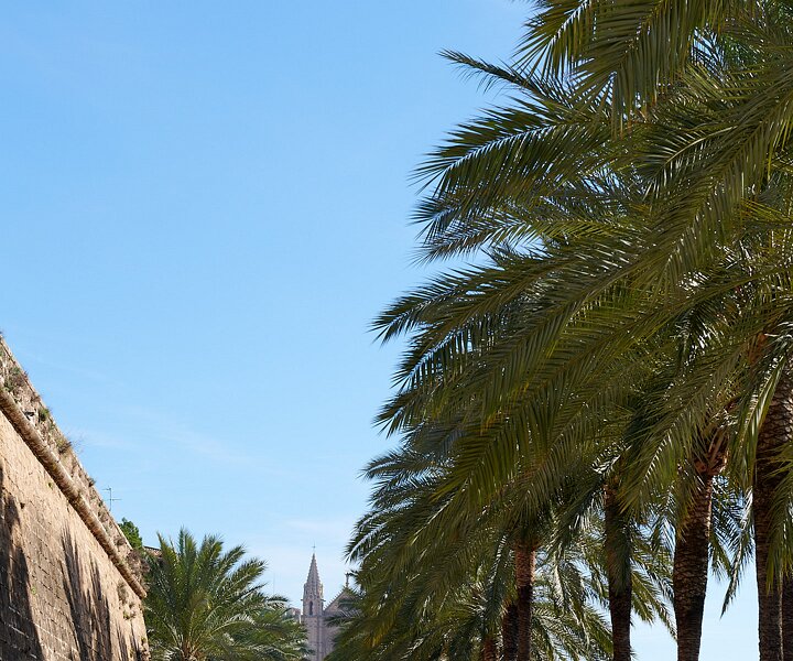 _DSC1931 Walking in Palma.