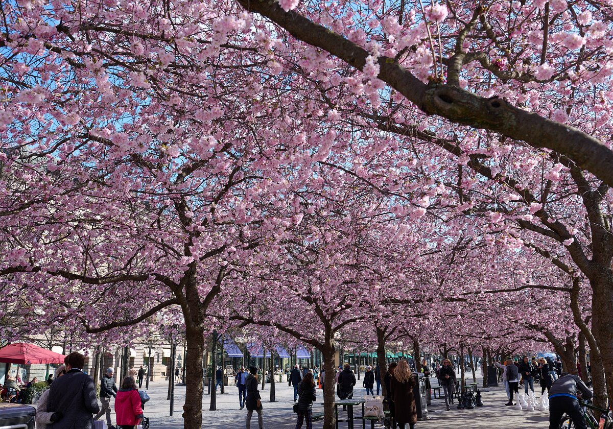 Stockholm in March