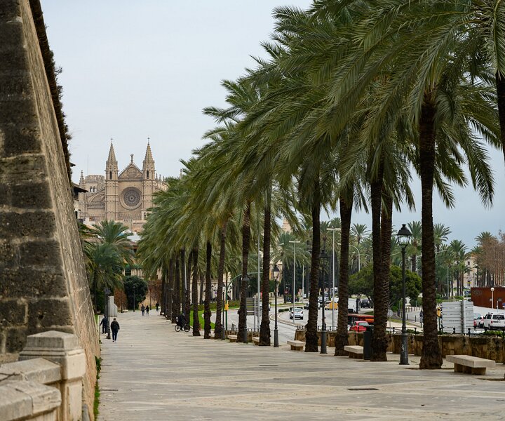 _DSC5688 In Palma de Mallorca.