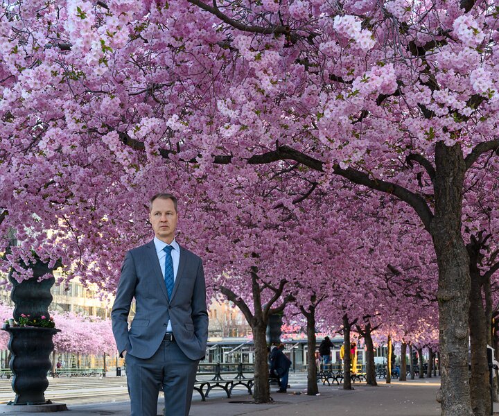 _DSC0360-Edit Arto at the cherry blossom in Kungsträdgården.