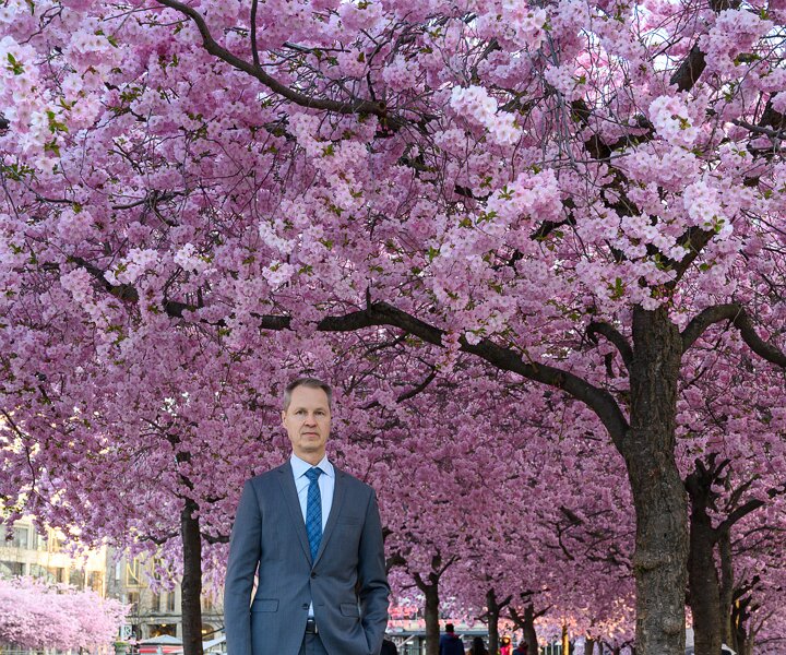 _DSC0362-Edit Arto at the cherry blossom in Kungsträdgården.