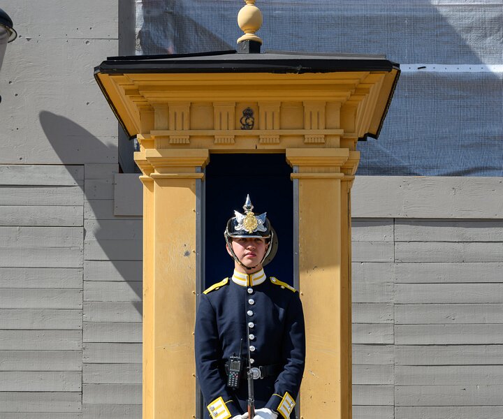 _DSC2984 Guard at the Royal Palace.