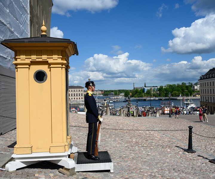 _DSC2985 Guard at the Royal Palace.