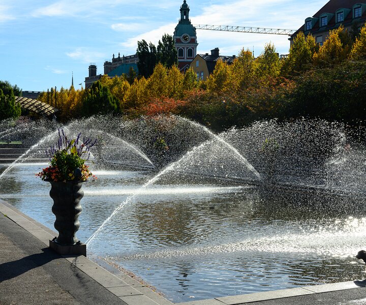_DSC8809 At Kungsträdgården in October.