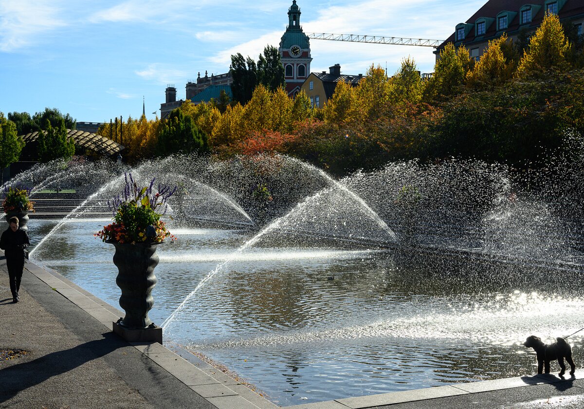 Autumn in Stockholm Moments from Stockholm in autumn.